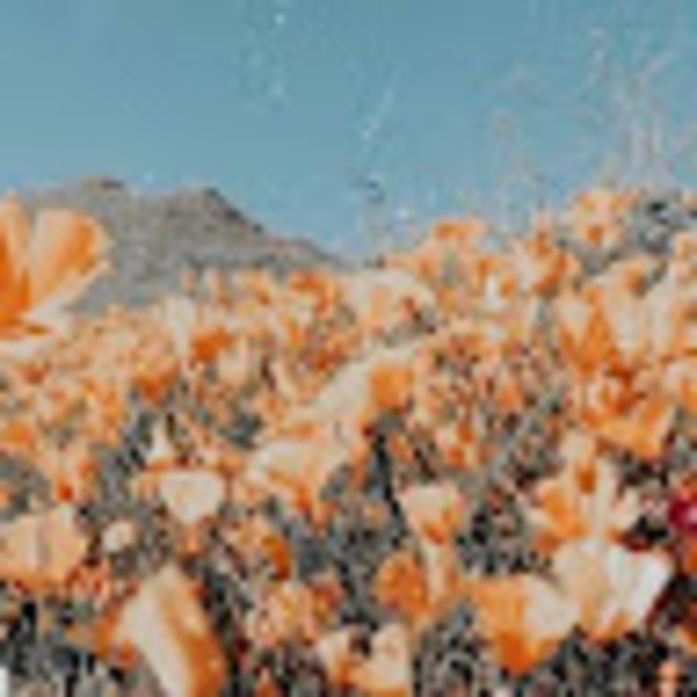 Meet your Posher, Sofie